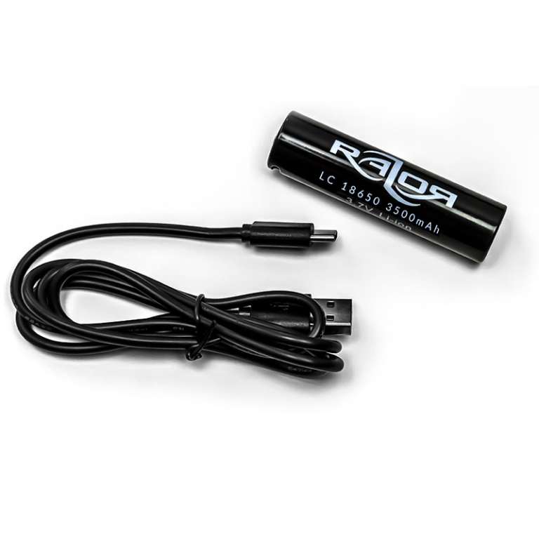 Backup-Batterie für BL1200 V4